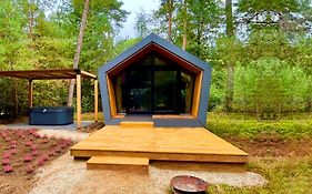 Diamond Suite In The Woods